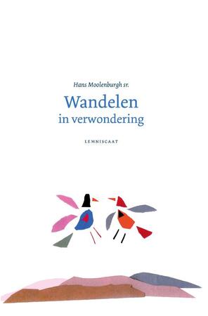 Wandelen in verwondering - Hans Moolenburgh Sr. Wandelen in verwondering - Hans Moolenburgh Sr.