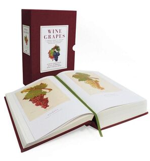 Wine Grapes - Jancis Robinson, Julia Harding, Jose Vouillamoz (ISBN 9780062206367)