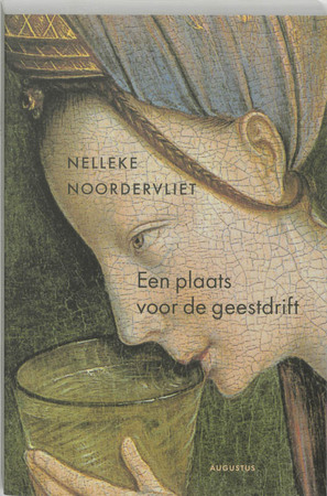 Een plaats voor de geestdrift - Nelleke Noordervliet
