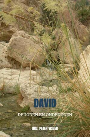 David - Drs. Peter Visser David - Drs. Peter Visser