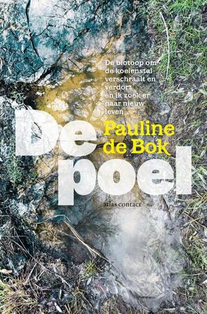 De poel - Pauline de Bok De poel - Pauline de Bok