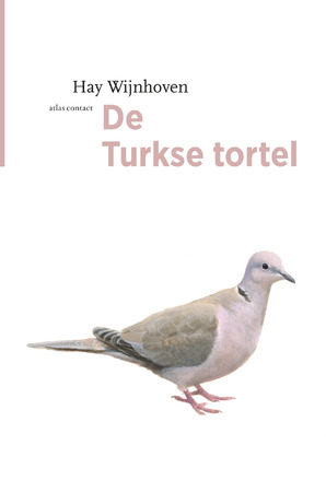 De Turkse tortel - Hay Wijnhoven De Turkse tortel - Hay Wijnhoven