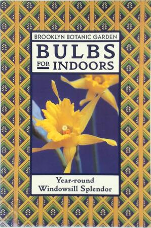 Bulbs for Indoors - 