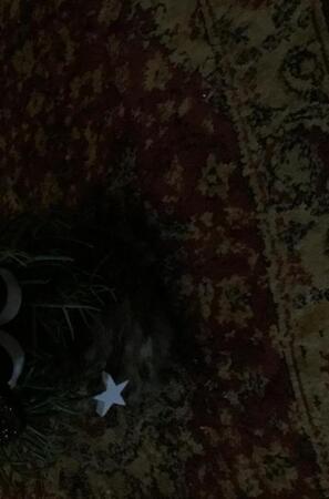 mooie kerstverhalen - Ans Linders