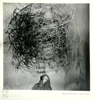 Roger Ballen: Shadow Chamber - Robert A. Sobieszek (ISBN 9780714847924)