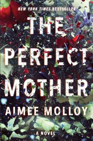Perfect mother - Aimee Molloy Perfect mother - Aimee Molloy