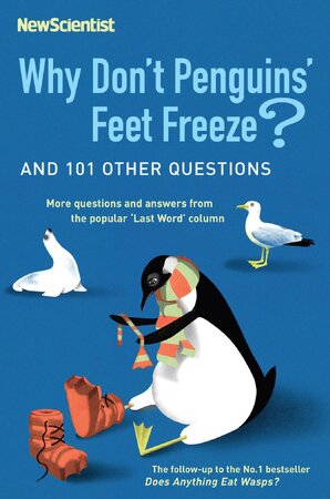 Why don't penguins' feet freeze? - New Scientist
