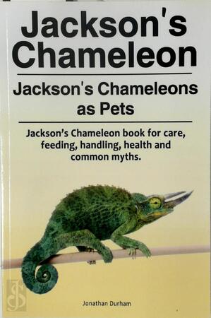 Jackson's Chameleon. Jackson's Chameleons as Pets. - Jonathan Durham