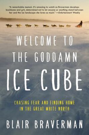 Welcome to the Goddamn Ice Cube - Blair Braverman