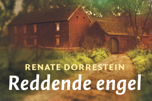 Reddende engel - Dwarsligger - Renate Dorrestein