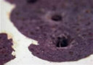 Willie Doherty - Willie Doherty, England) Matt'S Gallery (London