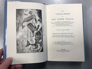 The Natural History of the Sperm Whale ; to which is Added a Sketch of a South-sea Whaling Voyage - Thomas Beale The Natural History of the Sperm Whale ; to which is Added a Sketch of a South-sea Whaling Voyage - Thomas Beale