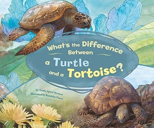 What's the Difference Between a Turtle and a Tortoise? - Trisha Speed Shaskan