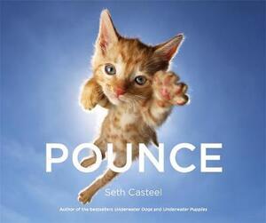 Pounce! - Seth Casteel Pounce! - Seth Casteel
