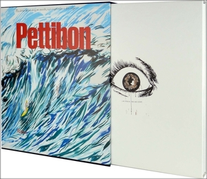 Raymond pettibon - robert storr Raymond pettibon - robert storr