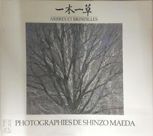 Arbres et brindilles - Shinzo Maeda