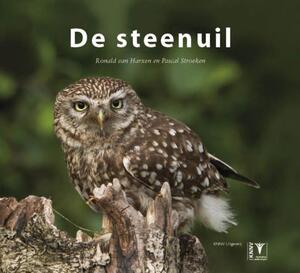 De Steenuil - Ronald van Harxen, Pascal Stroeken De Steenuil - Ronald van Harxen, Pascal Stroeken