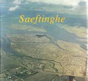 Het verdronken land van Saeftinghe - G. M. P. Sponselee, M. A. Buise