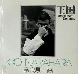 Domains - Ikko Narahara
