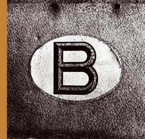 Belgicum - Stephan Vanfleteren, David van Reybrouck Belgicum - Stephan Vanfleteren, David van Reybrouck