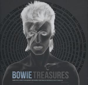 Treasures of David Bowie - Mike Evans Treasures of David Bowie - Mike Evans