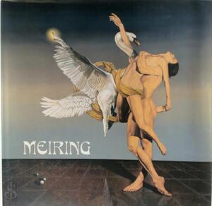 Gabriel Meiring - Gabriel Meiring -