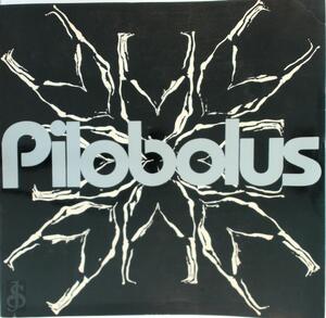 Pilobolus - 