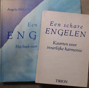 Een schare engelen + 48 kaarten - A. Macgerr Een schare engelen + 48 kaarten - A. Macgerr