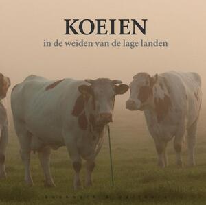 Koeien in de weiden van de lage landen - Reimer Strikwerda Koeien in de weiden van de lage landen - Reimer Strikwerda