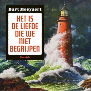 Het is de liefde die we niet begrijpen - Bart Moeyaert Het is de liefde die we niet begrijpen - Bart Moeyaert