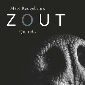 Zout - Marc Reugebrink Zout - Marc Reugebrink