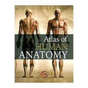 atlas of human anatomy - atlas of human anatomy -