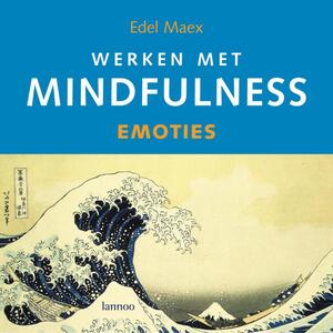 Werken met mindfulness / Emoties + CD - E. Maex Werken met mindfulness / Emoties + CD - E. Maex