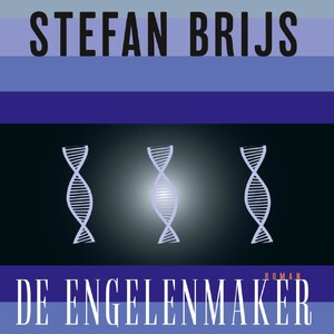 De engelenmaker - Stefan Brijs