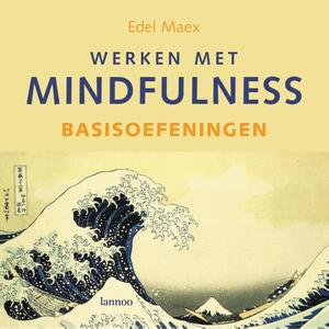Werken met mindfulness / Basisoefeningen + CD - E. Maex Werken met mindfulness / Basisoefeningen + CD - E. Maex
