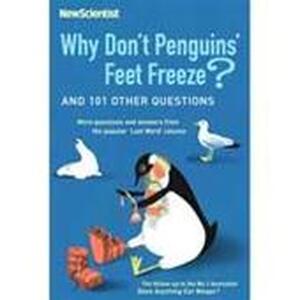 Why don't penguins' feet freeze? - New Scientist Why don't penguins' feet freeze? - New Scientist
