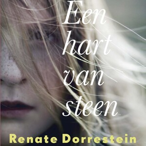 Een hart van steen - Renate Dorrestein Een hart van steen - Renate Dorrestein