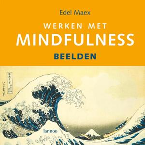 Werken met Mindfulness + CD - E. Maex Werken met Mindfulness + CD - E. Maex