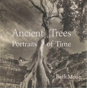 Ancient Trees - Beth Moon Ancient Trees - Beth Moon