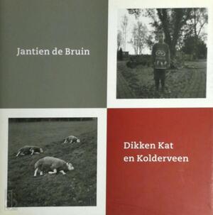 Dikken Kat en Kolderveen - Jantien De Bruin