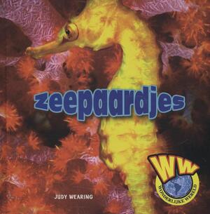 Zeepaardjes - Judy Wearing Zeepaardjes - Judy Wearing