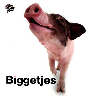 Biggetjes - Dennis Friedhoff