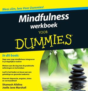 Mindfulness werkboek voor Dummies - Shamash Alidina, Joelle Jane Marshall
