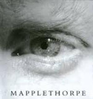 Mapplethorpe - Robert Mapplethorpe, Arthur Coleman [essay] Danto