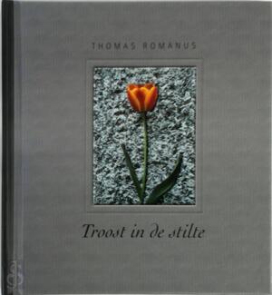 Troost in de stilte - T. Romanus