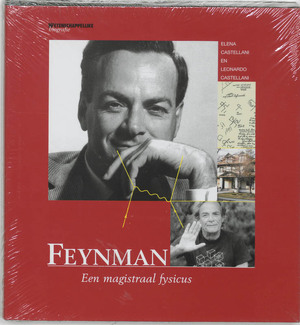 Feynman - E. Castellani, H. L. / Kleinert Castellani Feynman - E. Castellani, H. L. / Kleinert Castellani
