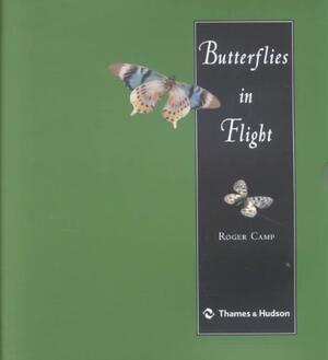 Butterflies in Flight - Roger Camp