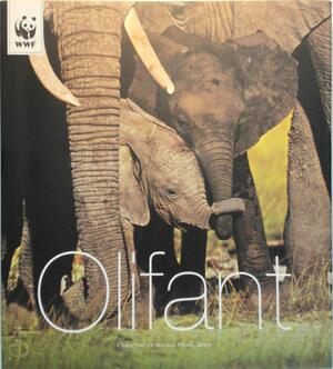 Olifant - Christine Denis-Huot, Michel Denis-Huot