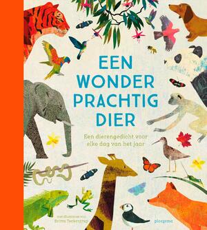 Een wonderprachtig dier: Een dierengedicht voor elke dag van het jaar - Britta Teckentrup [Ill.]
