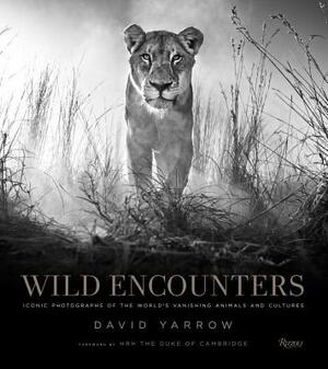 Wild Encounters - Wild Encounters -